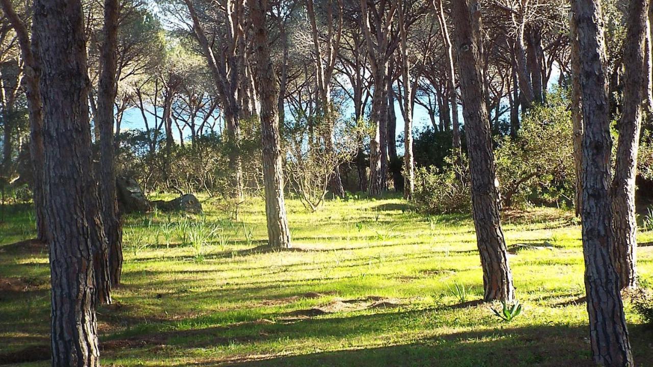 Villetta Con Giardino A Budoni Kültér fotó